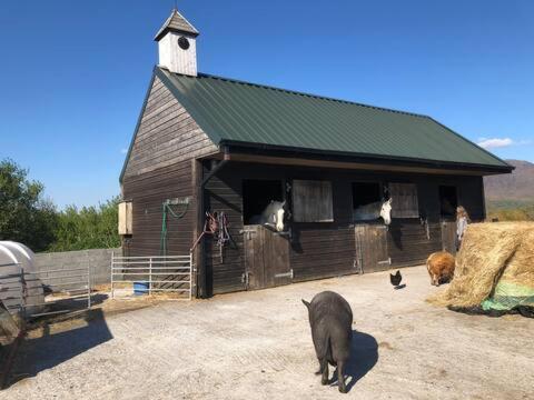 Letterfrack Farmhouse On Equestrian Farm In Letterfrack Beside Connemara National Park Tullywee Bridge Exterior photo