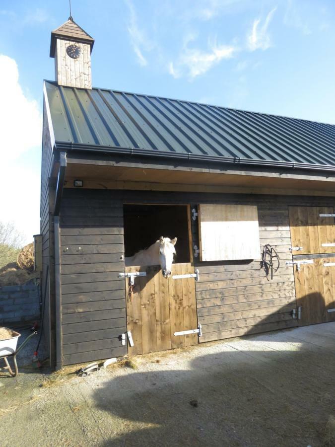Letterfrack Farmhouse On Equestrian Farm In Letterfrack Beside Connemara National Park Tullywee Bridge Exterior photo